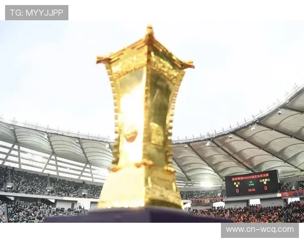 足球赛事票务销售规范出台，打击黄牛保障球迷权益